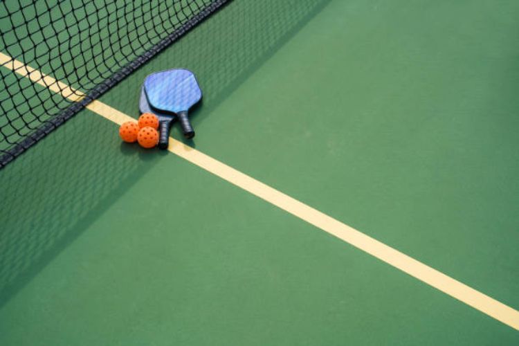 pickleball supplement